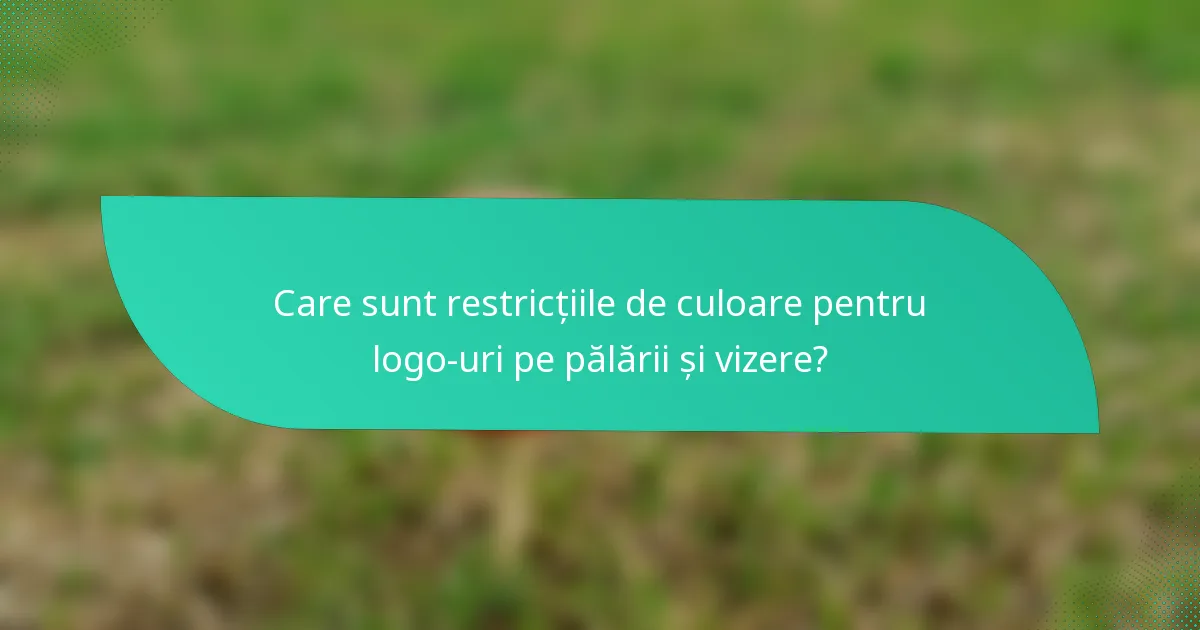 Care sunt restricțiile de culoare pentru logo-uri pe pălării și vizere?